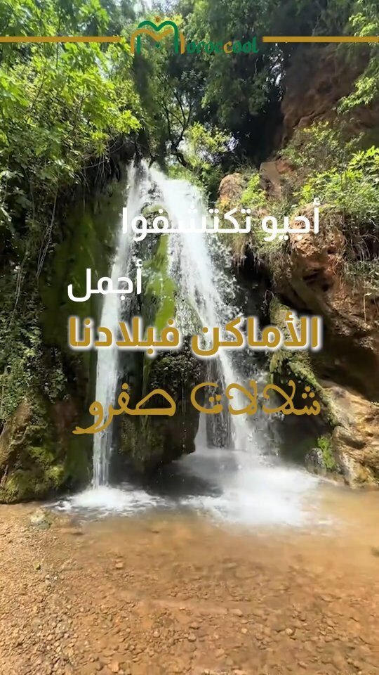 Instagram post from moroccool.official. This post is in position 4.
