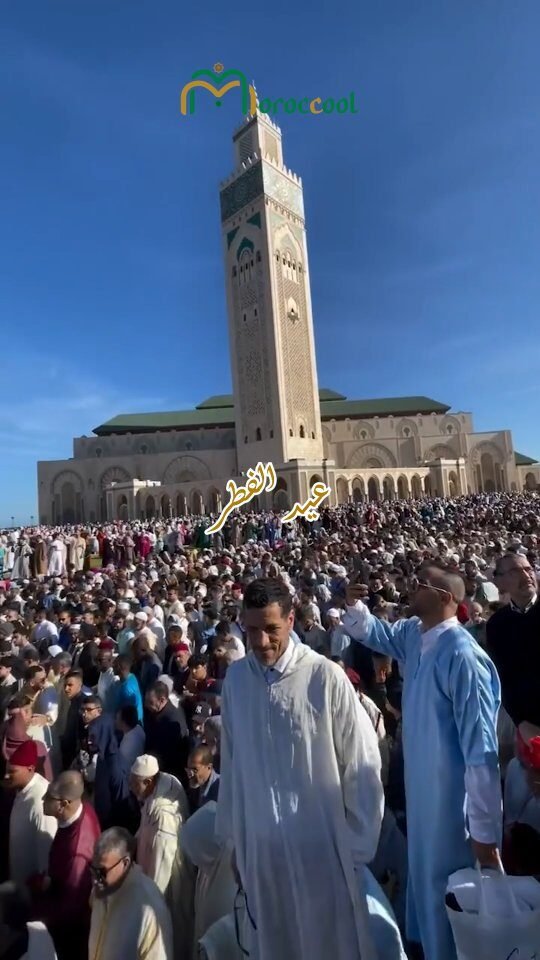 Instagram post from moroccool.official. This post is in position 1.