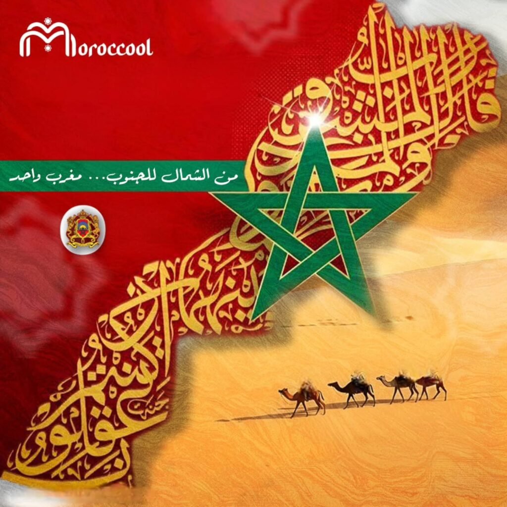 Instagram post from moroccool.official. This post is in position 2.