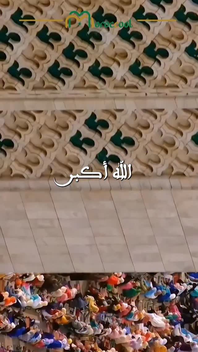 Instagram post from moroccool.official. This post is in position 2.